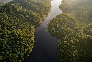 An aerial image of dark water bisecting a green forest.