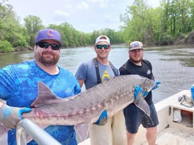Three men holding a large female sturgeon.