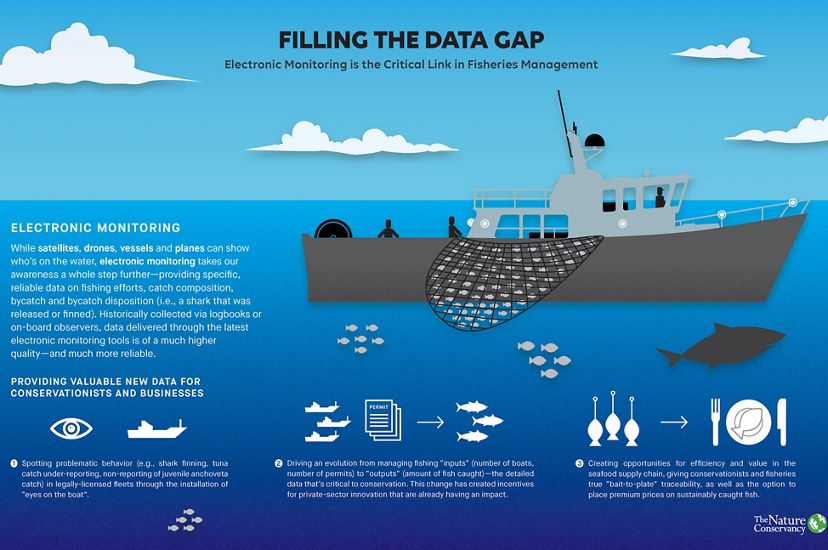 Infographic on how electronic monitoring is the critical link in fisheries management. 