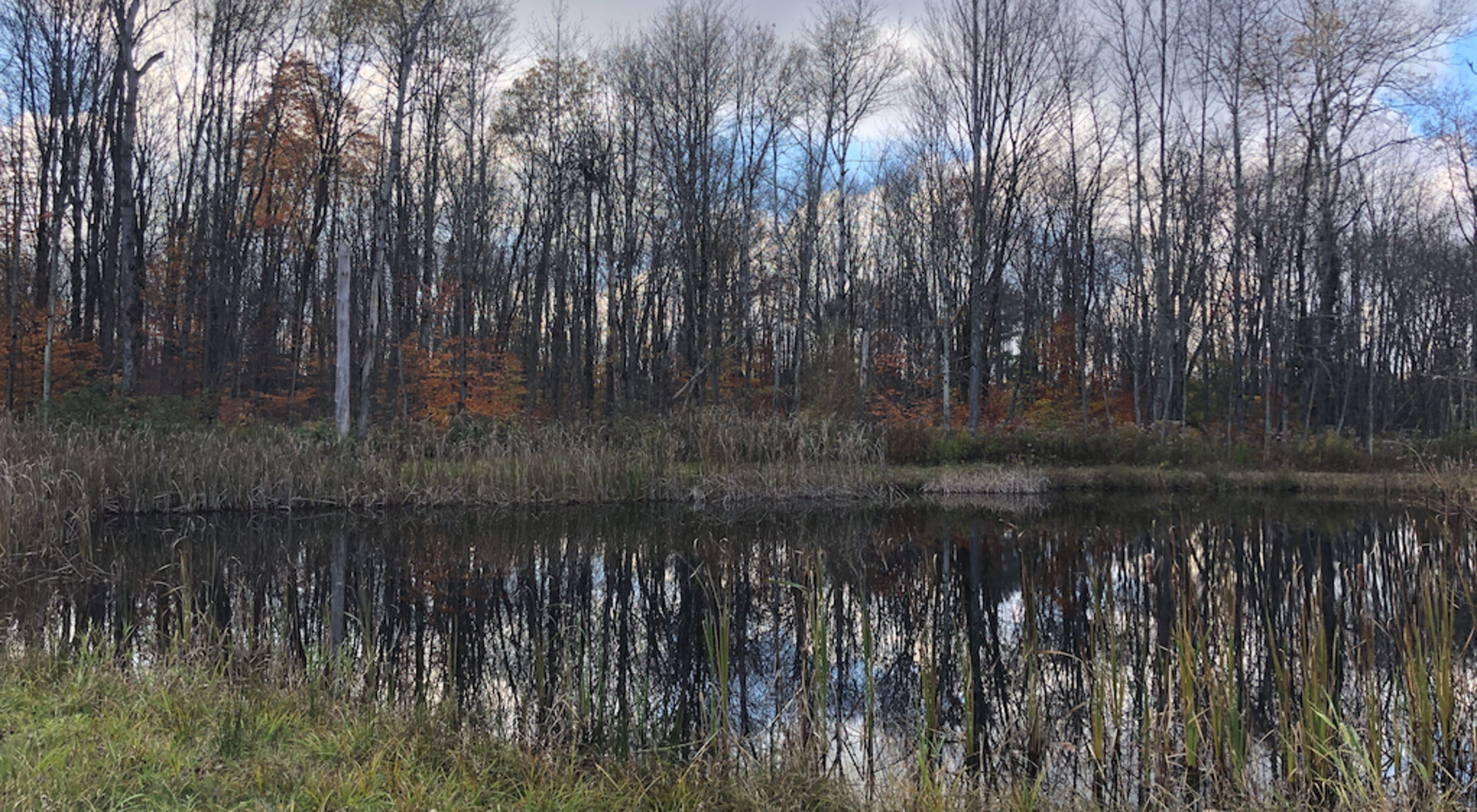 Landscape photo of Fillmore Nature Preserve, showing trees and a lake.
