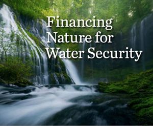 Financing nature