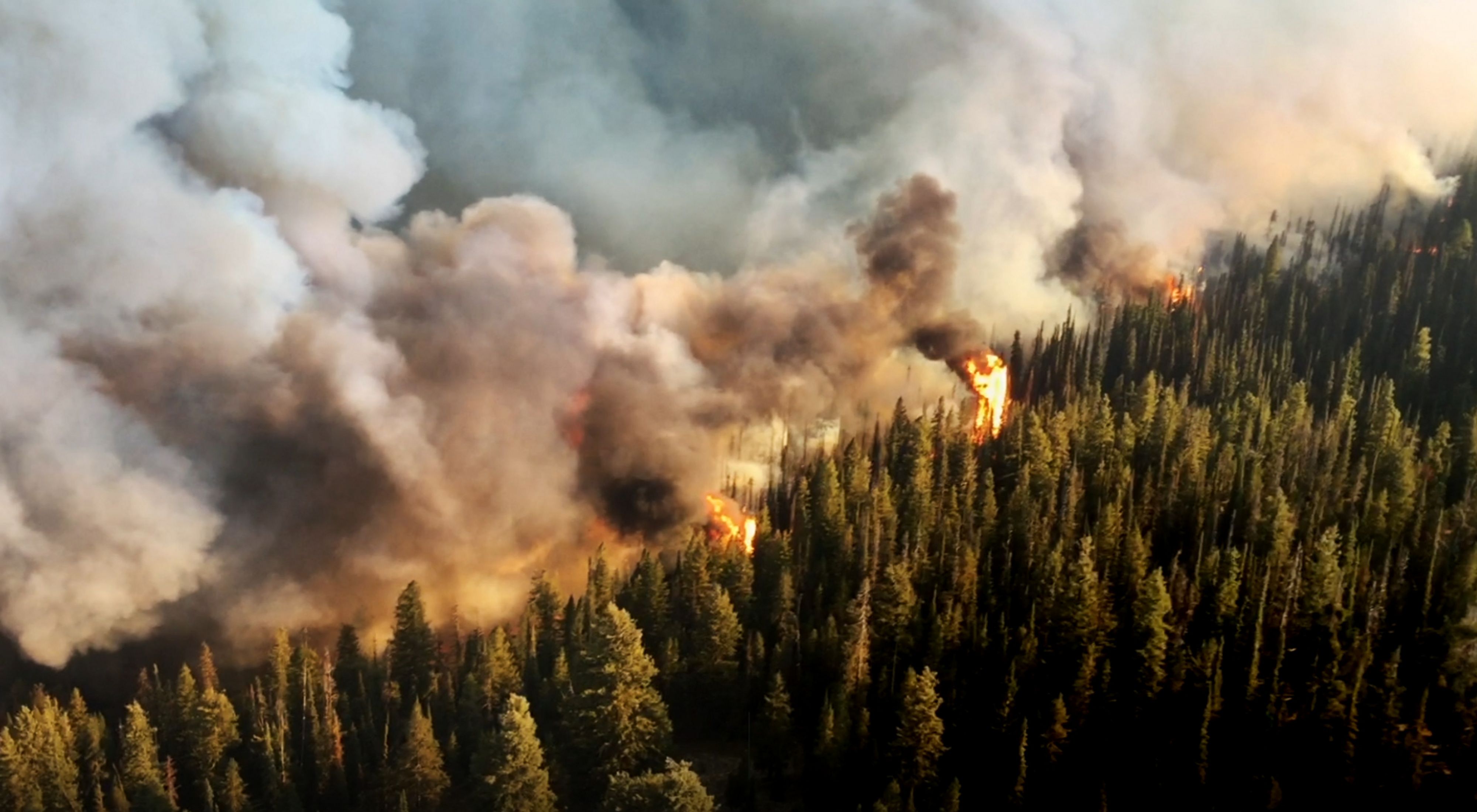 A line of wildfire burns in an Idaho forest, with smoke in the upper part of the photo and forest in the bottom part.
