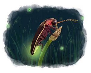 Illustration showing the profile view of a firefly that landed on a plant.