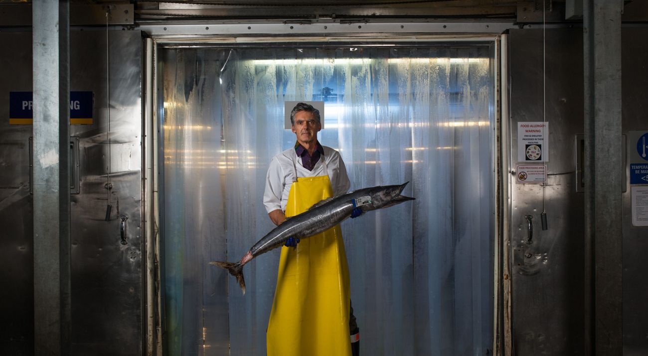 A fish processor in Honolulu holds an ono fish