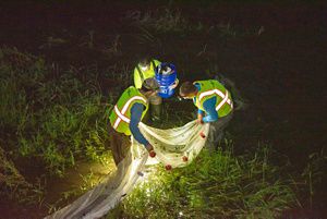 3 scientists in a river tracking fish.