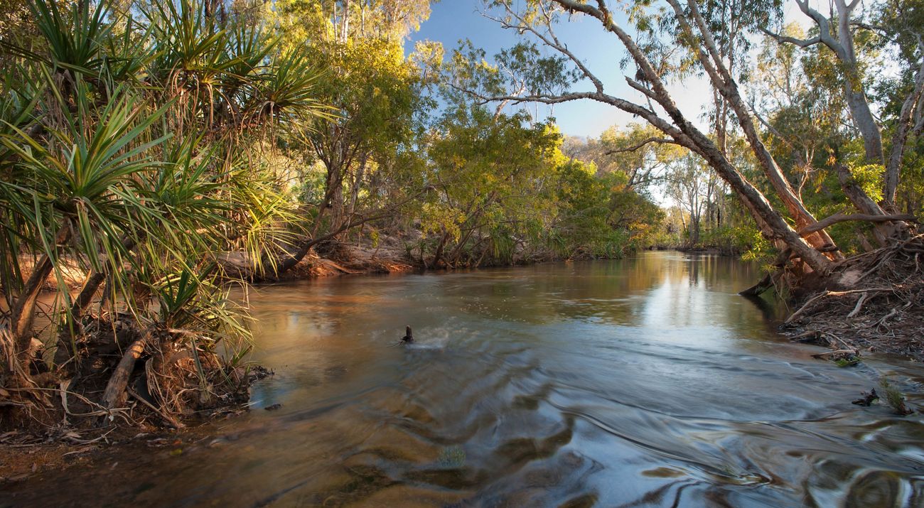 A river flows through a wooded landscape.