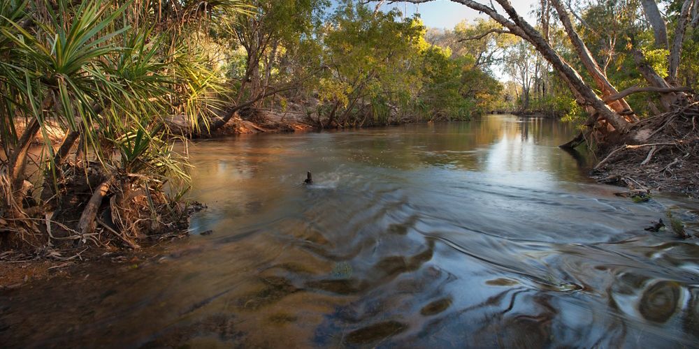 Looking at the waterway banked by tress on either side running through Fish River Station.