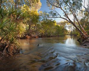 A river flowing through a marsh.