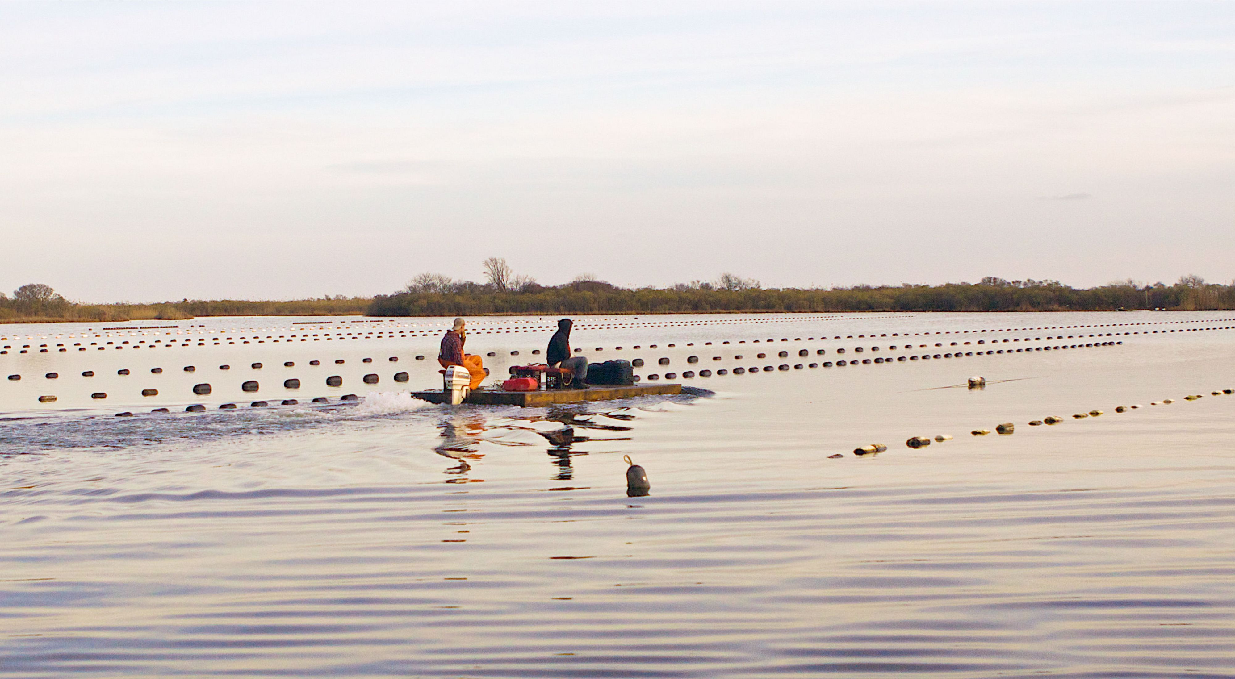 oyster farmers at Fishers Island Oyster Farm