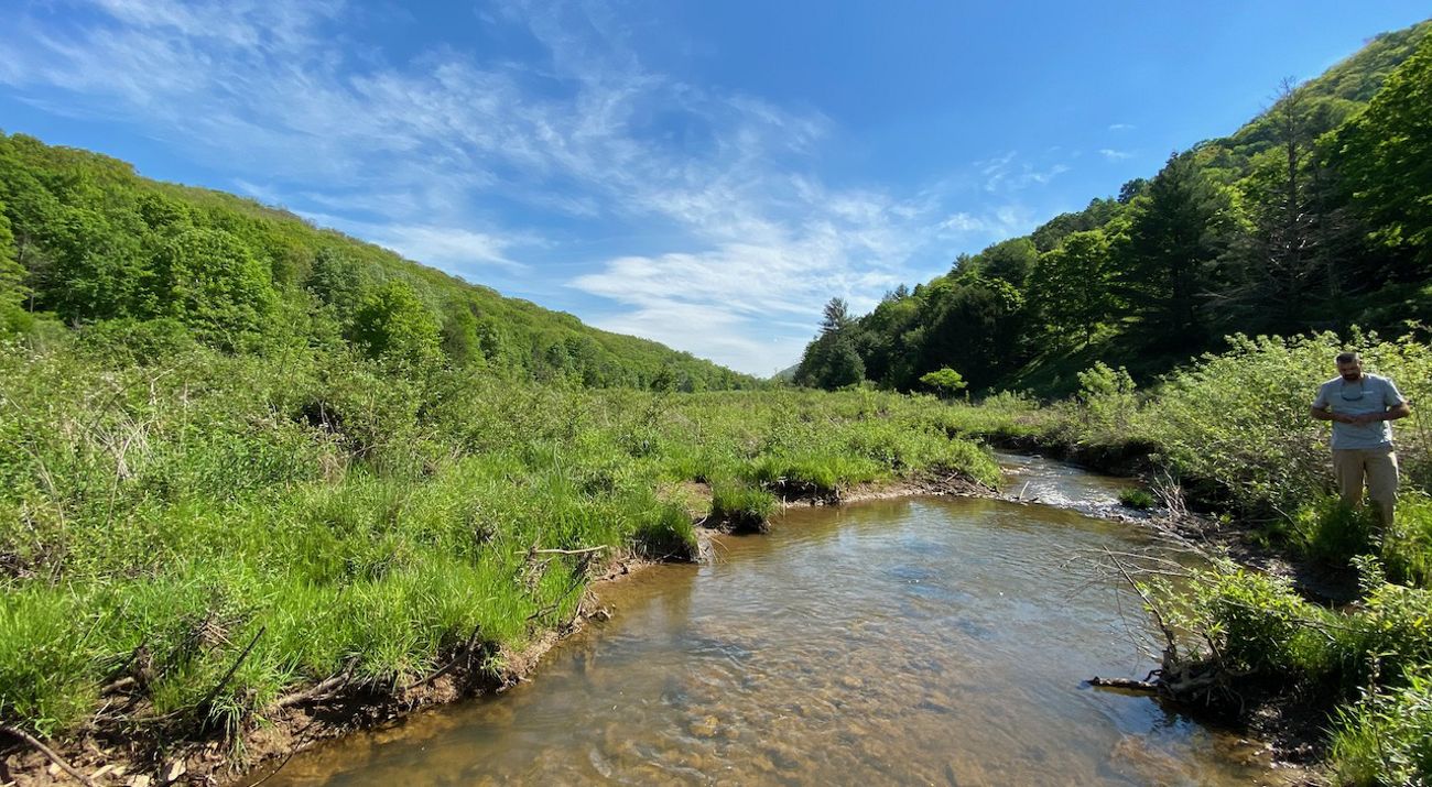 A man stands at the edge of a wide, shallow stream. Two mountain ridges meet in a vee in the background framing bright blue sky.