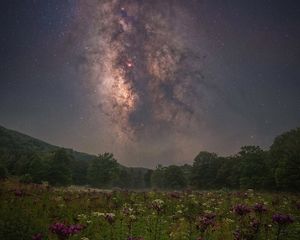 Composite photo showing a column of gas and stars in the night sky over an open field of purple flowers.
