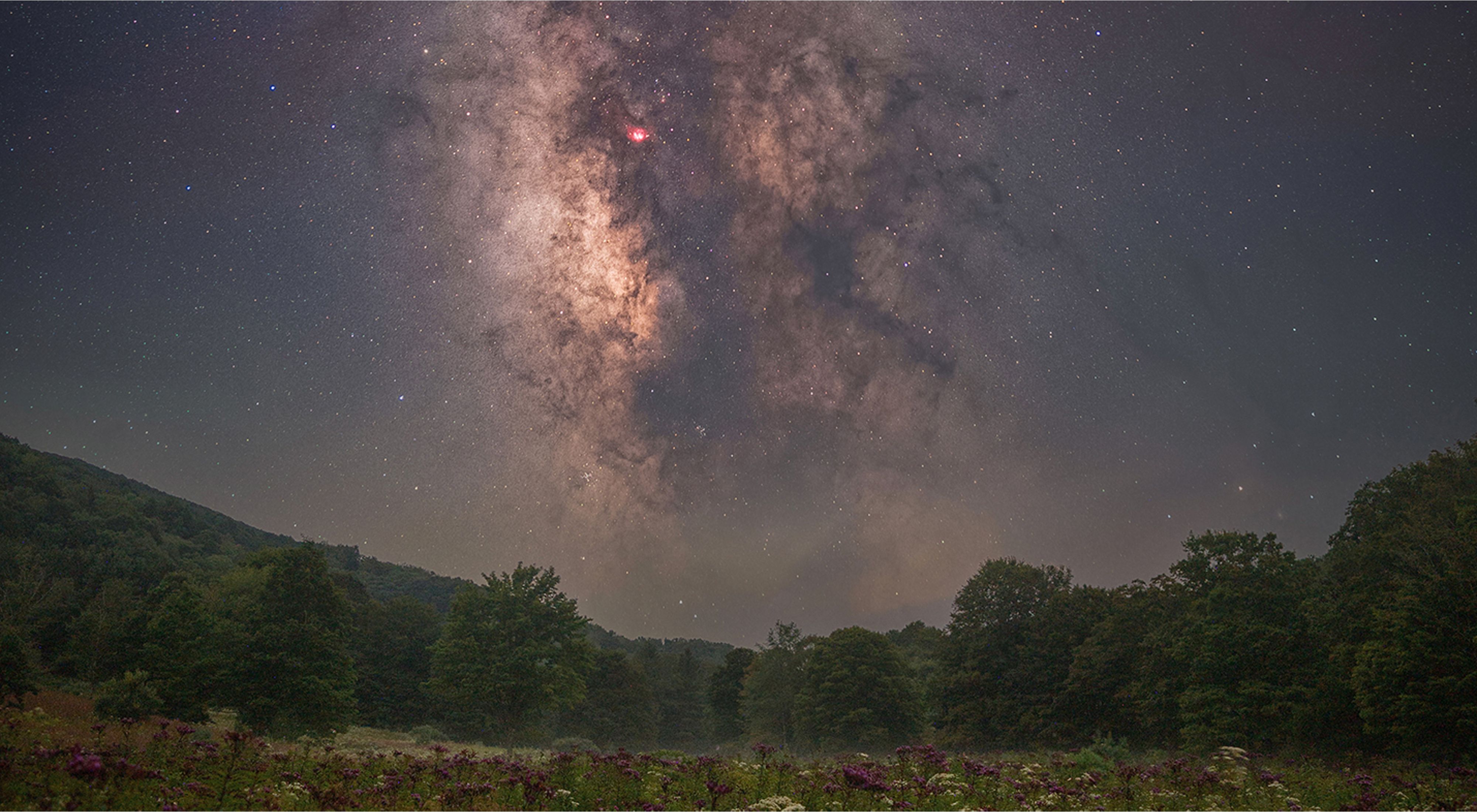 Composite photo showing a column of gas and stars in the night sky over an open field of purple flowers.
