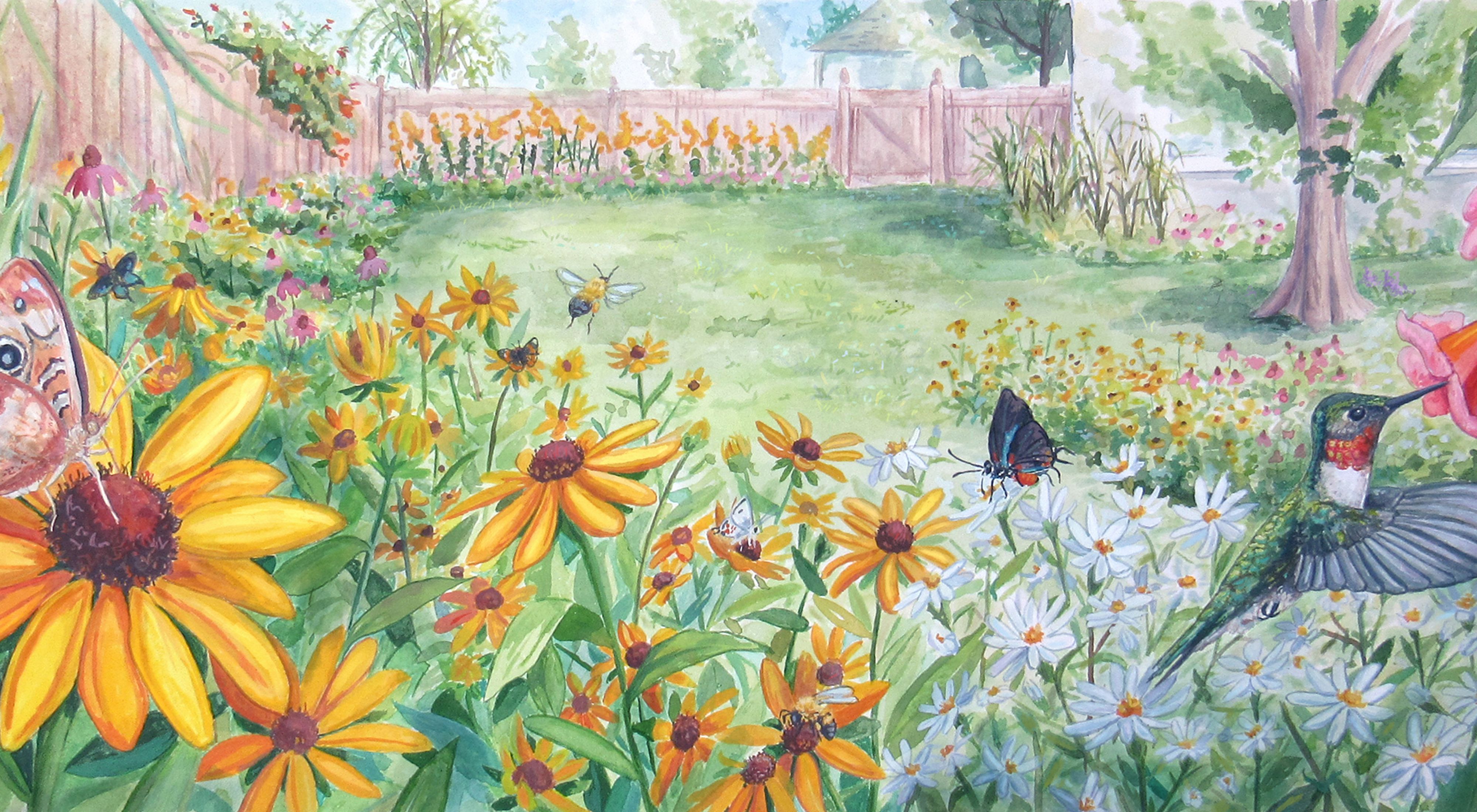 Pollinator Garden Habitat Concept Sketch (Dry Sun) — The Natural Garden,  Inc.