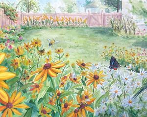 Watercolor illustration showing a backyard garden of native plants. A brown butterfly sits on a yellow flower in the left foreground. A ruby-throated hummingbird hovers next to a flower on the right.