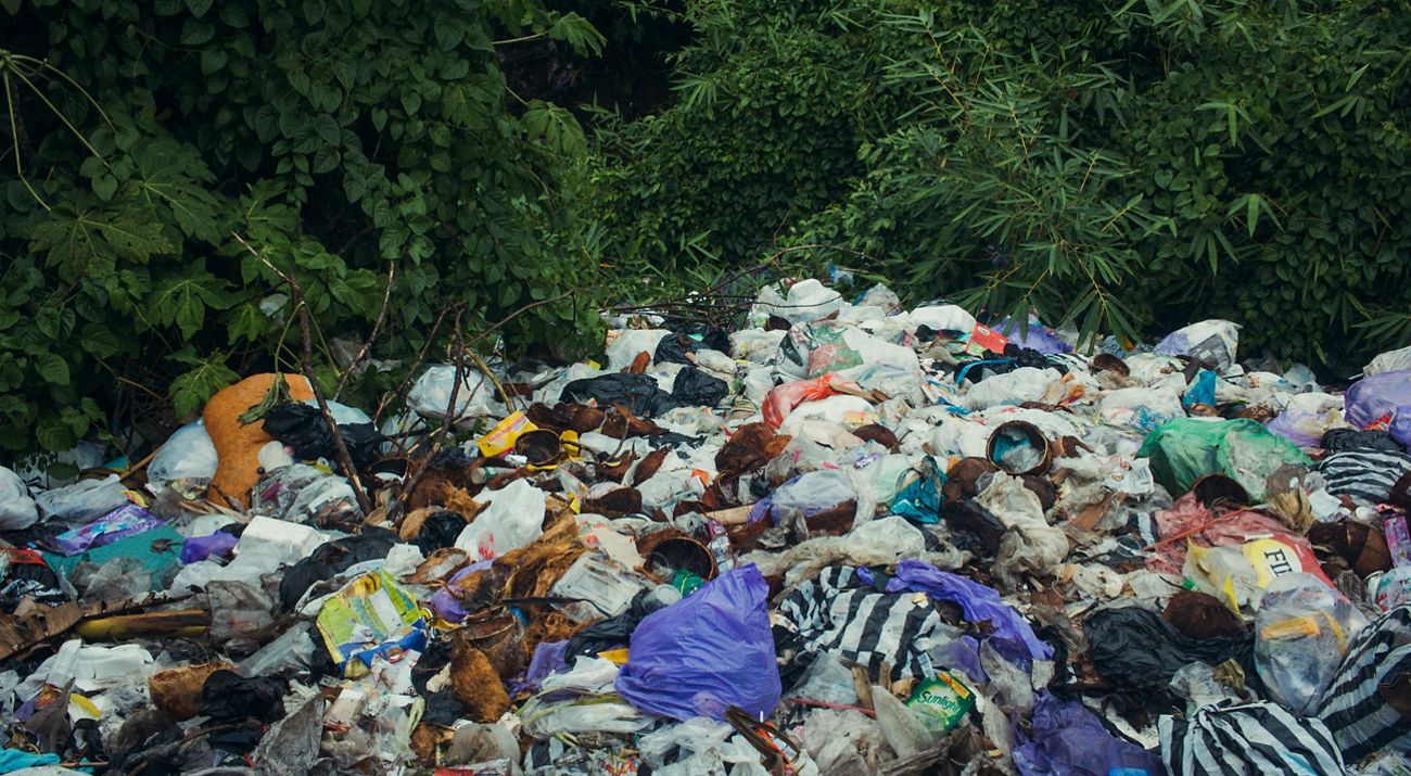 Close up view of a pile of garbage. Discarded cans, glass bottles and plastic milk jugs and soda bottles are scattered across a thick pile of sticks, logs and broken wood.