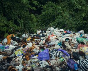Close up view of a pile of garbage. Discarded cans, glass bottles and plastic milk jugs and soda bottles are scattered across a thick pile of sticks, logs and broken wood.