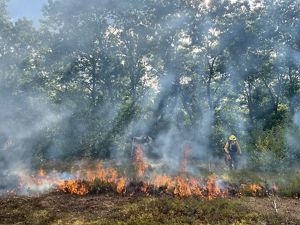 A small fire burns in a field in front of a tree line and three people dressed in yellow fire gear.