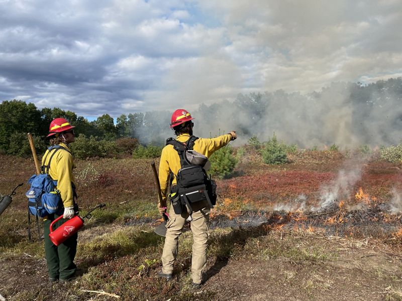 Two people in yellow fire gear stand in a smoke filled field. One points towards the distance.