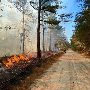 A person stands in a field in yellow fire gear near an orange flame at Ponders Tract.