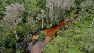 A brown-orange creek meanders through a green landscape.
