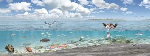 Panoramic at waterline of Gulf of Mexico showing above and below the water line; pelicans diving, sponges and the sea floor teeming with life.