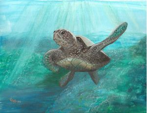 Sea turtle cruises through the gulf stream.