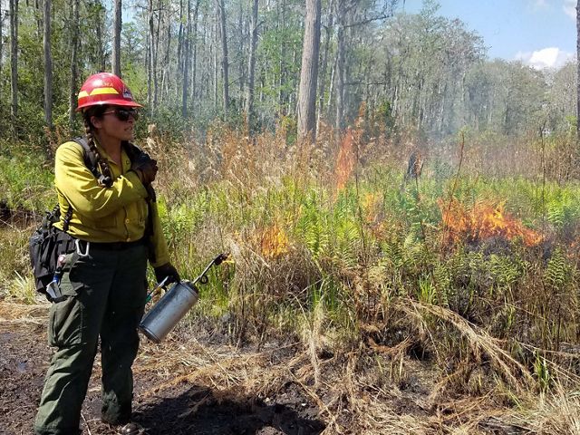 Chelsea MacKenzie in fire gear, holding a drip torch in front of burning shrubs.