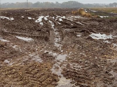 A flooded and muddy agriculture field after rain.
