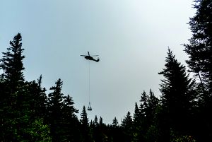 A black hawk helicopter hovering over a forest with a bundle of lumber hanging from a rope.