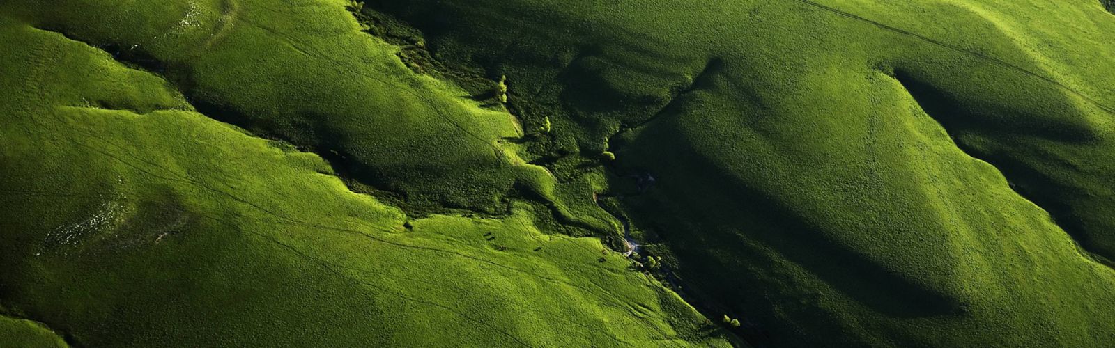 Aerial view of green grass covered hills in the spring.