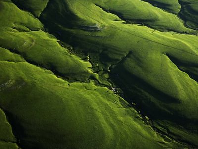 Aerial view of lush green hills