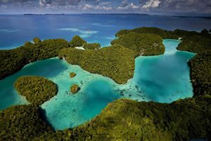 aerial view of vegetation-covered islands and coral seascape.