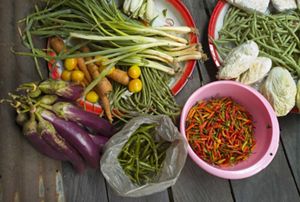 An array of colorful fresh vegetables, including eggplant, scallions, beans and peppers.