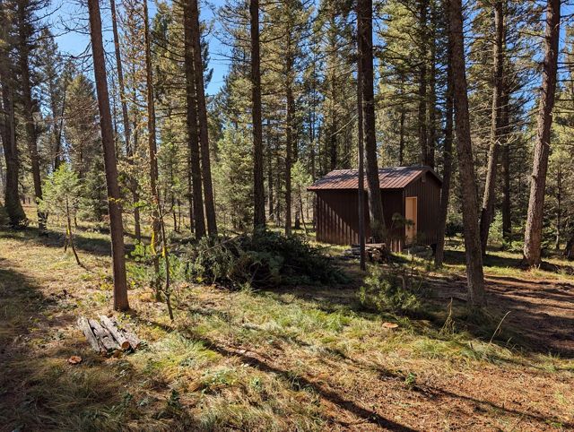 A cabin surrounded by tree in a forest. 
