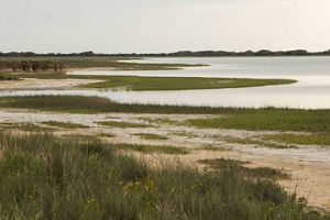 Green salt marsh dots sandy beach and shallow coastal waters.