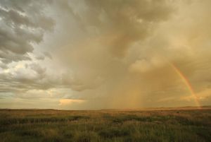 A rainbow forms during a storm in the desert.