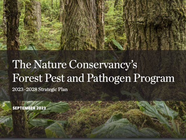 Pest and Pathogen
