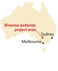 Gayini Nimmie-Caira map