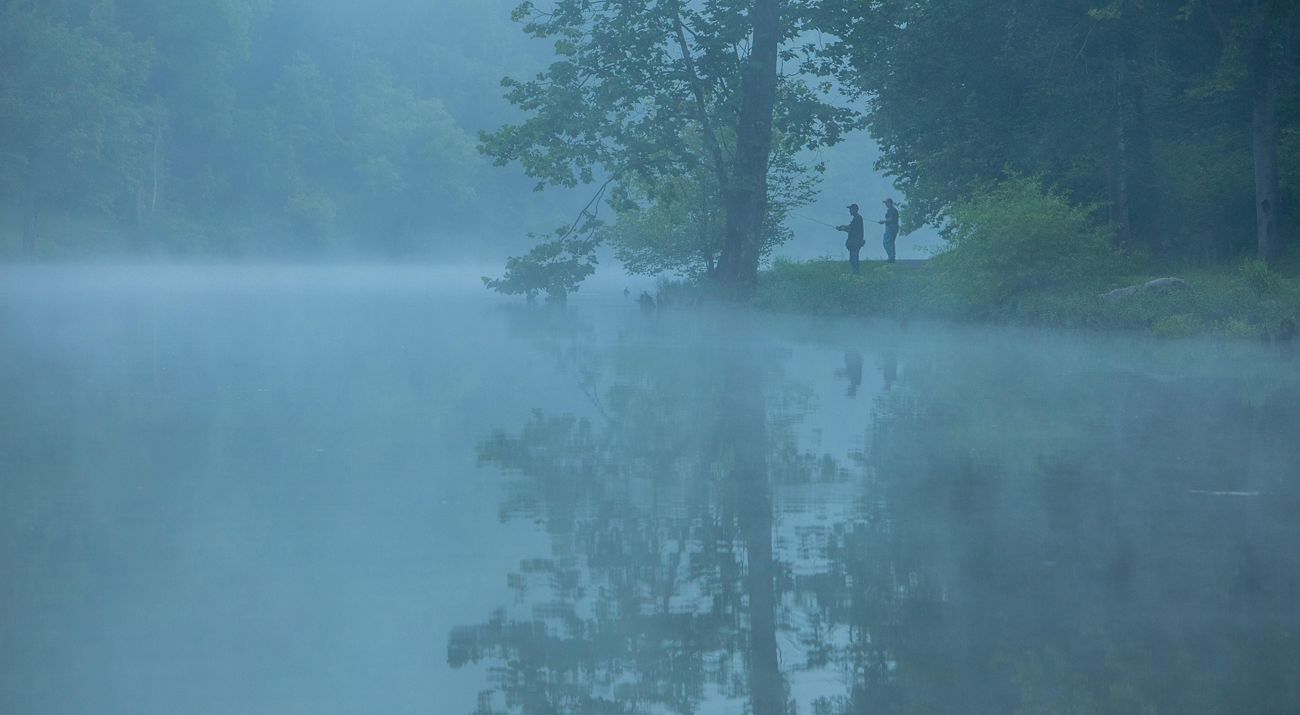 un lago brumoso rodeado de bosque