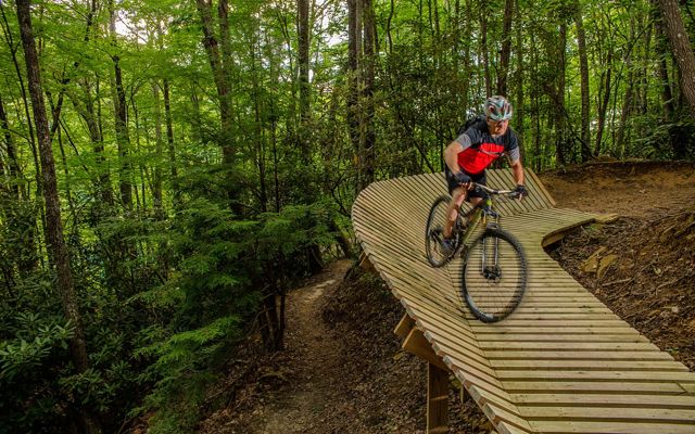 A mountain biker rides a trail