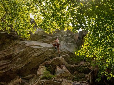a rock climber scales a rock face in a forest