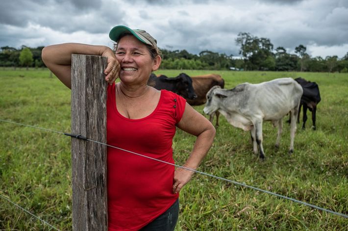 Mercedes ve las conexiones que la unen con su bosque conservado, con sus animales, que le dan de comer, y con su tierra, y espera protegerlo toda la vida.