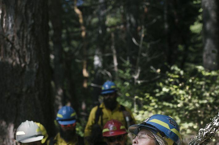 Members of the Cultural Fire Management Council begin a fire training exchange (TREX) on Yurok land.