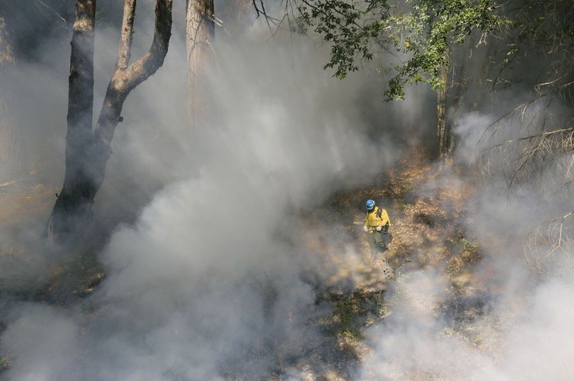 Aerial view of a firefighter walking among the forest and smoke during an Indigenous cultural burn.