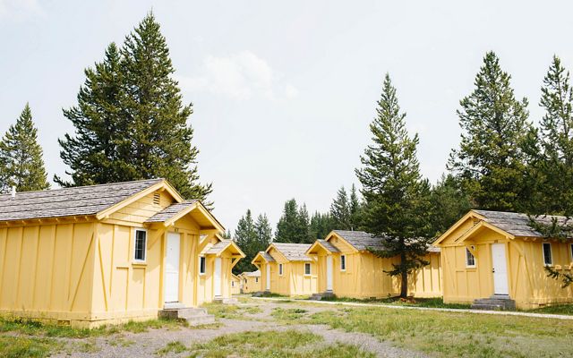 A group of yellow cottages with fir trees in the background.