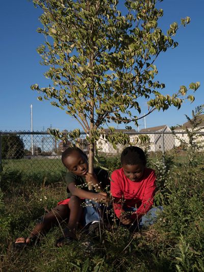 Dos niños sentados cerca de un árbol pequeño en un patio en Bridgeport, Connecticut.