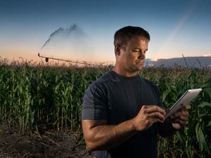 A farmer in a field uses a tablet to control irrigation