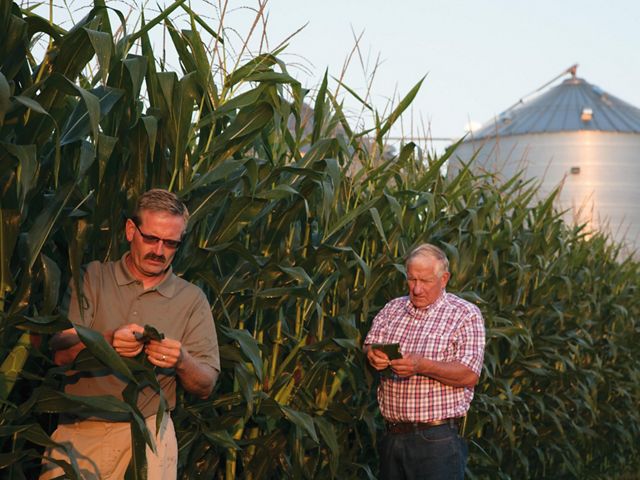Farmers stand next to a corn row with a silo in the background