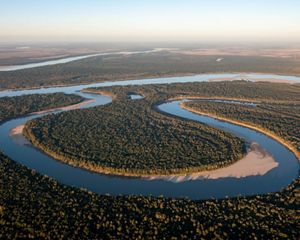 A calm river winds in a circle around a green forest.