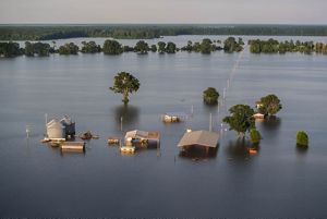 Natural Solutions For Mississippi River Flooding